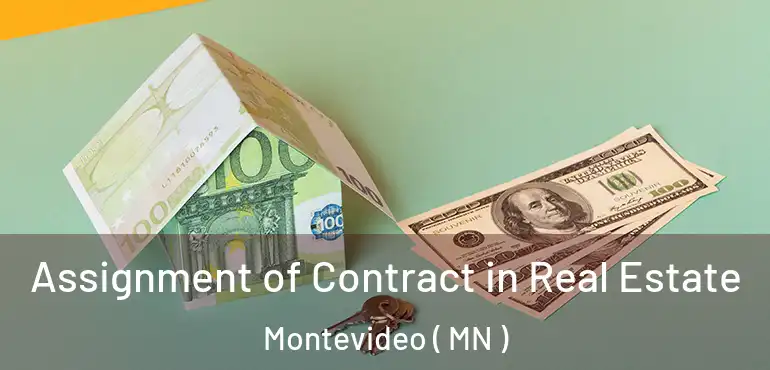  Assignment of Contract in Real Estate Montevideo ( MN )