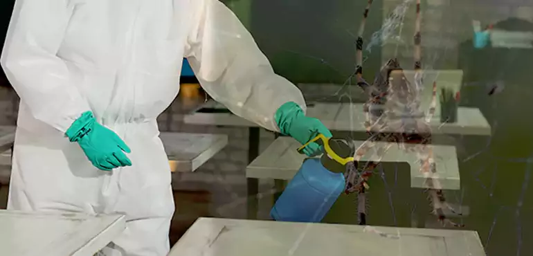 Why Buyers Still Want Homes With Pest Infestations in Minnesota, MN?