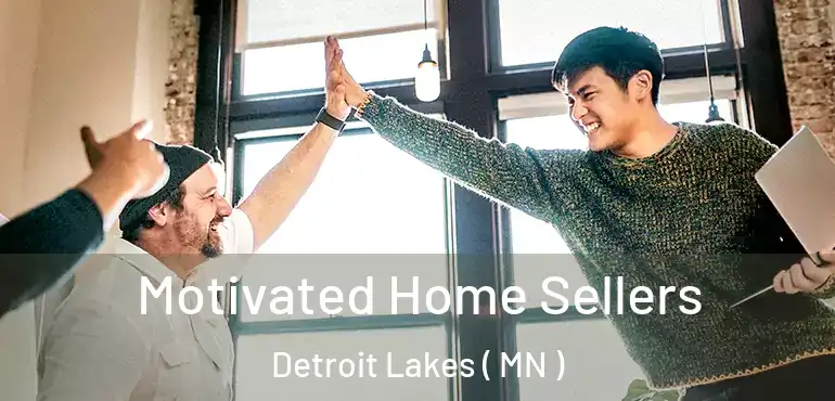  Motivated Home Sellers Detroit Lakes ( MN )