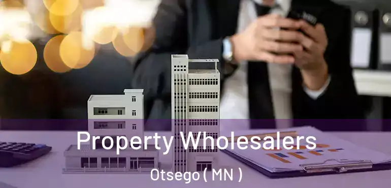  Property Wholesalers Otsego ( MN )