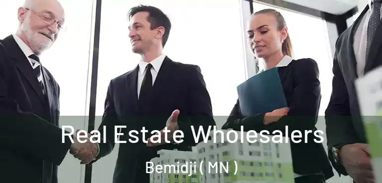  Real Estate Wholesalers Bemidji ( MN )
