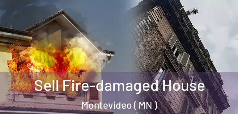  Sell Fire-damaged House Montevideo ( MN )