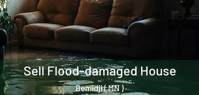  Sell Flood-damaged House Bemidji ( MN )