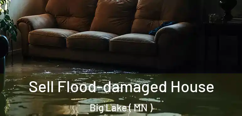  Sell Flood-damaged House Big Lake ( MN )