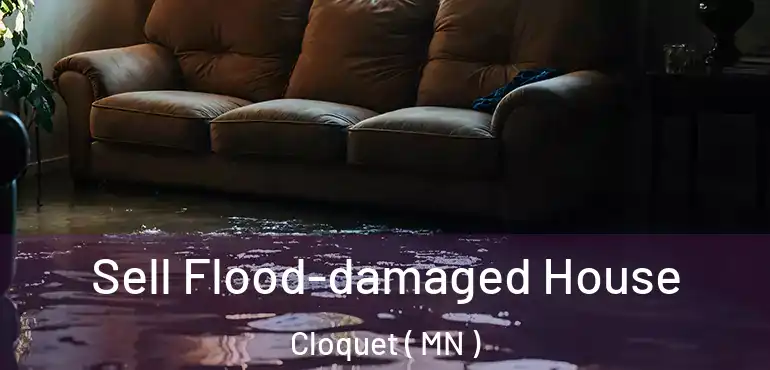  Sell Flood-damaged House Cloquet ( MN )