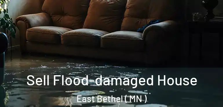  Sell Flood-damaged House East Bethel ( MN )
