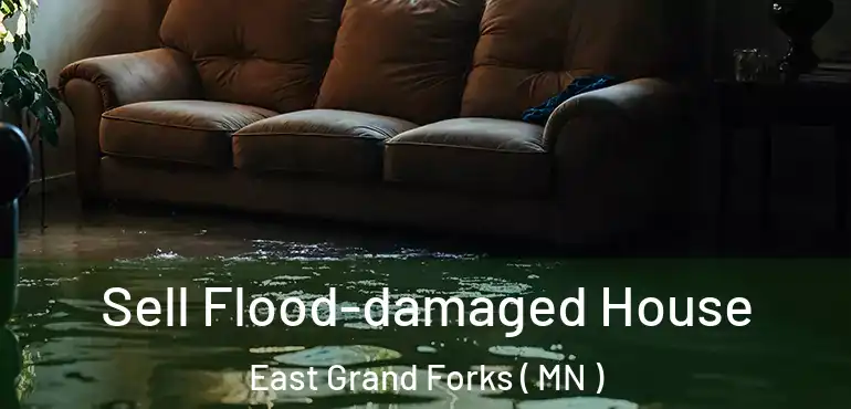  Sell Flood-damaged House East Grand Forks ( MN )