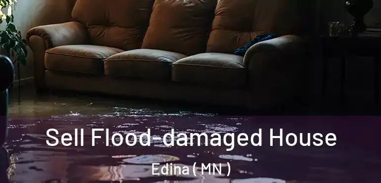  Sell Flood-damaged House Edina ( MN )