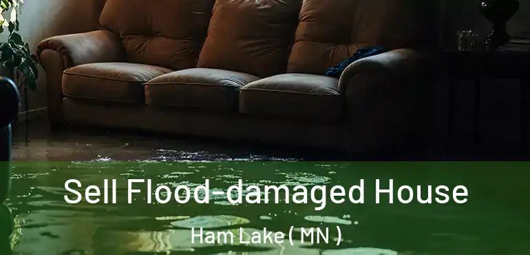  Sell Flood-damaged House Ham Lake ( MN )