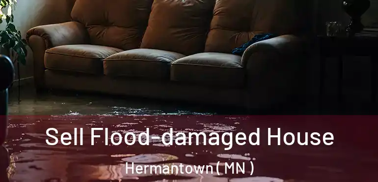  Sell Flood-damaged House Hermantown ( MN )