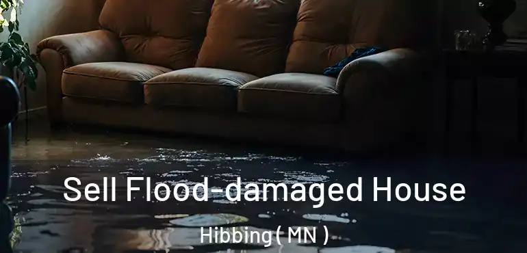  Sell Flood-damaged House Hibbing ( MN )