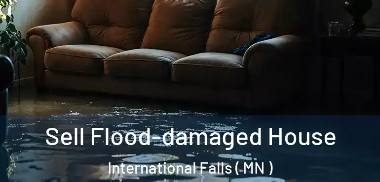  Sell Flood-damaged House International Falls ( MN )