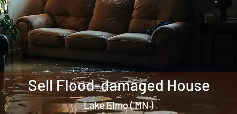  Sell Flood-damaged House Lake Elmo ( MN )