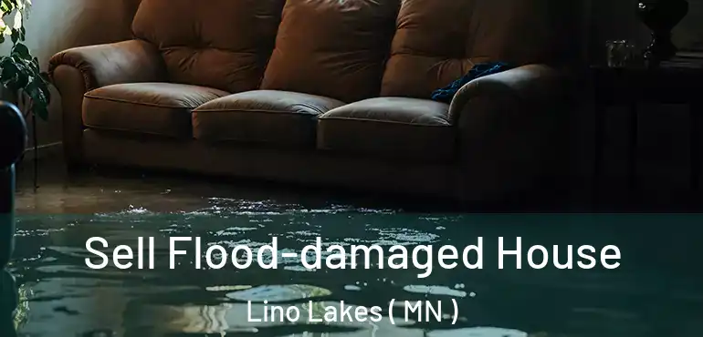  Sell Flood-damaged House Lino Lakes ( MN )