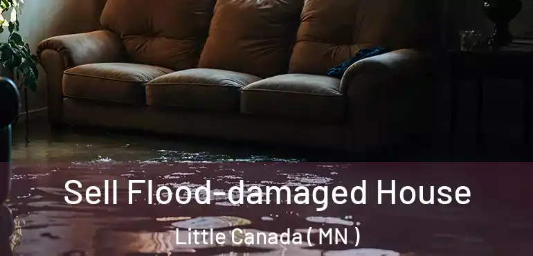  Sell Flood-damaged House Little Canada ( MN )