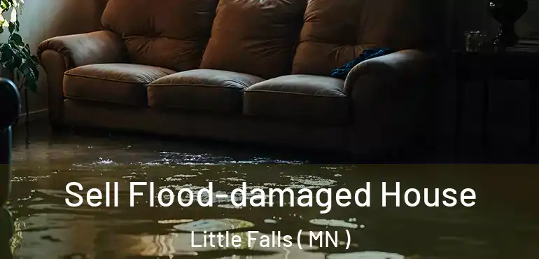  Sell Flood-damaged House Little Falls ( MN )