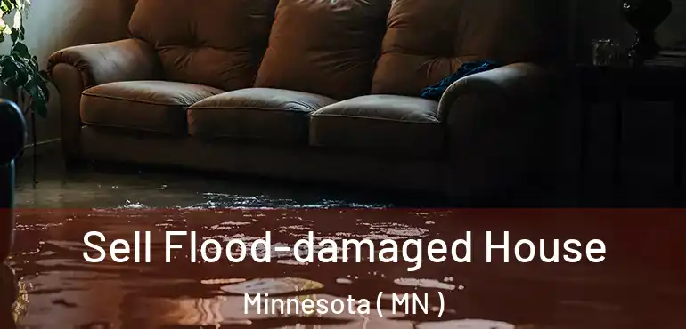  Sell Flood-damaged House Minnesota ( MN )