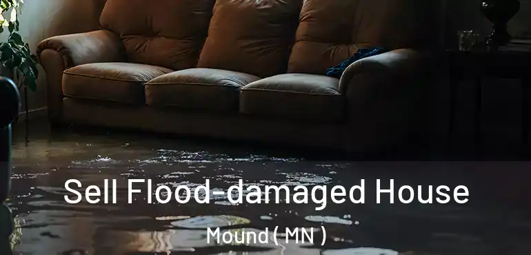  Sell Flood-damaged House Mound ( MN )