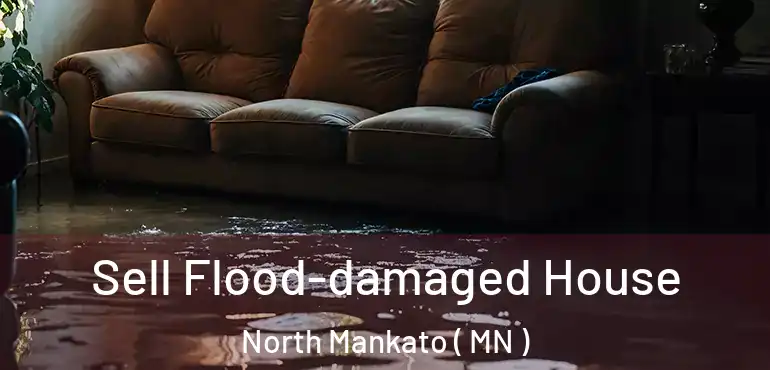 Sell Flood-damaged House North Mankato ( MN )