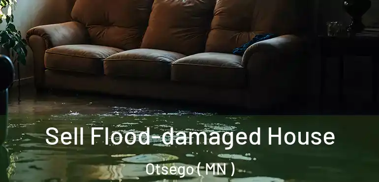  Sell Flood-damaged House Otsego ( MN )