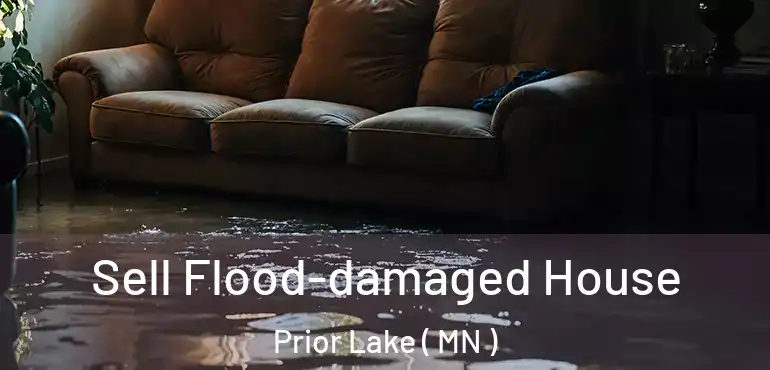  Sell Flood-damaged House Prior Lake ( MN )