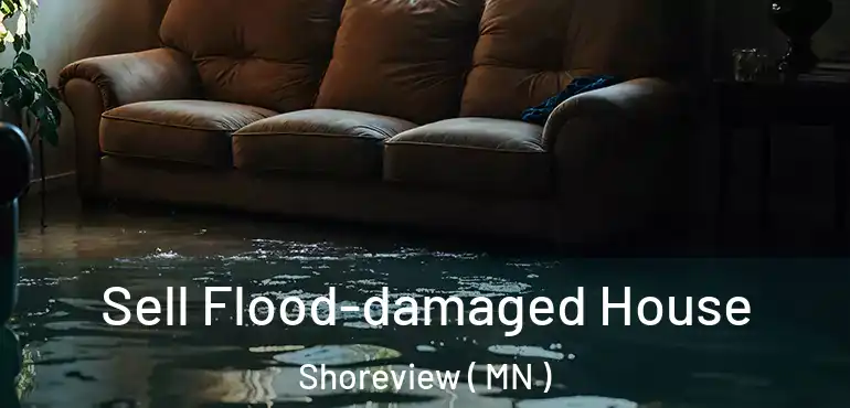  Sell Flood-damaged House Shoreview ( MN )