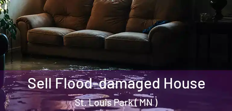  Sell Flood-damaged House St. Louis Park ( MN )