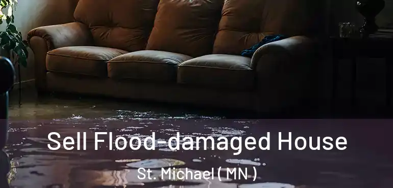  Sell Flood-damaged House St. Michael ( MN )