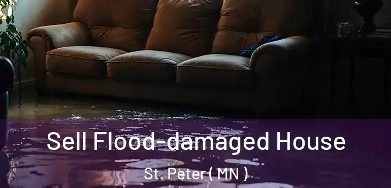  Sell Flood-damaged House St. Peter ( MN )