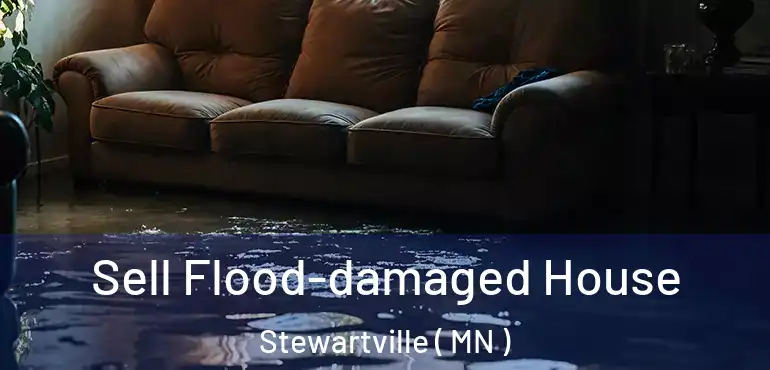  Sell Flood-damaged House Stewartville ( MN )