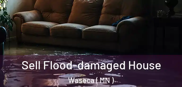  Sell Flood-damaged House Waseca ( MN )
