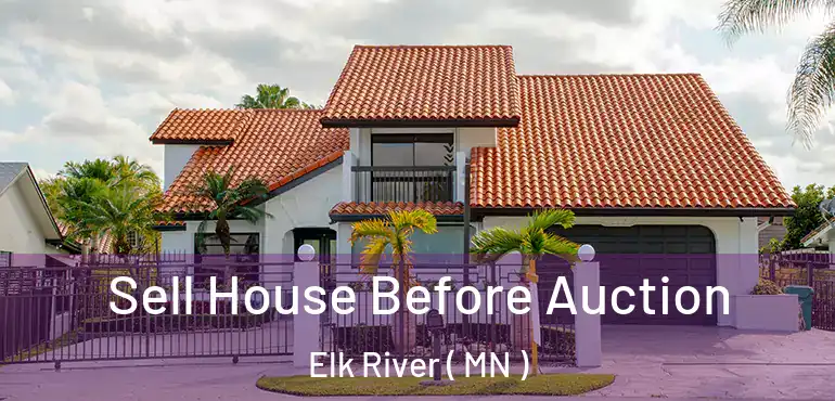  Sell House Before Auction Elk River ( MN )