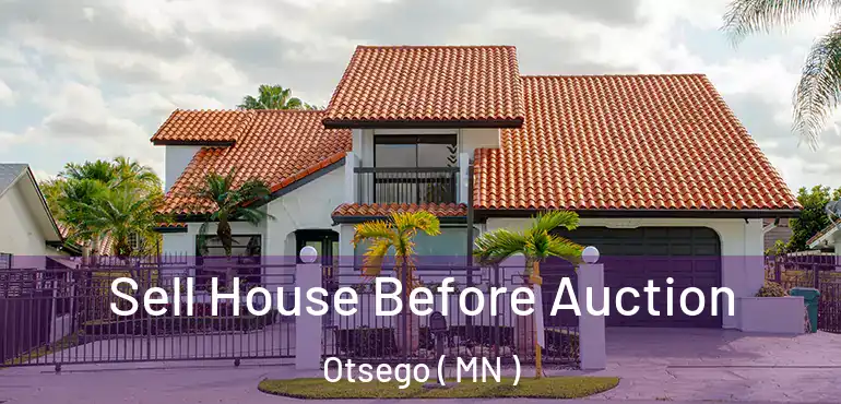  Sell House Before Auction Otsego ( MN )