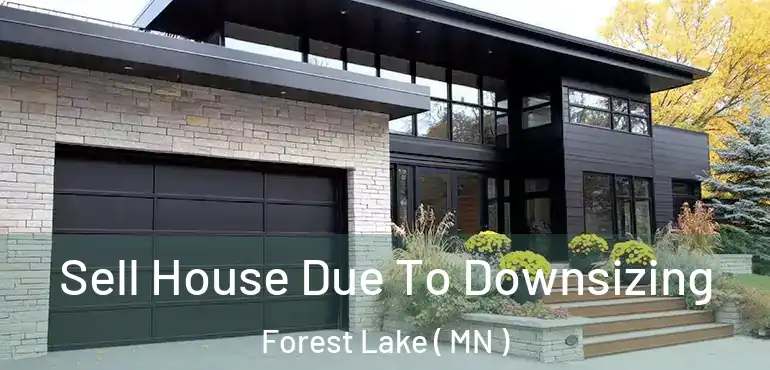  Sell House Due To Downsizing Forest Lake ( MN )