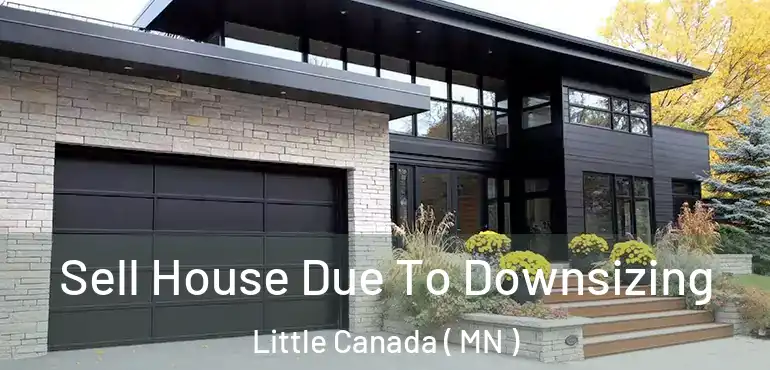  Sell House Due To Downsizing Little Canada ( MN )