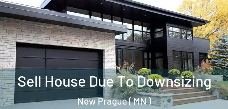  Sell House Due To Downsizing New Prague ( MN )
