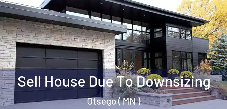  Sell House Due To Downsizing Otsego ( MN )