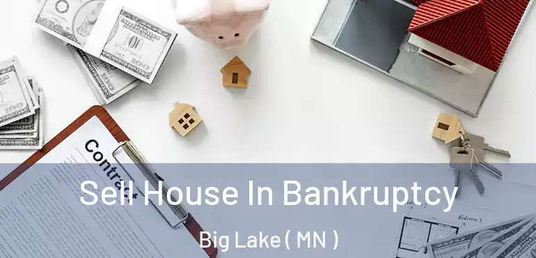 Sell House In Bankruptcy Big Lake ( MN )