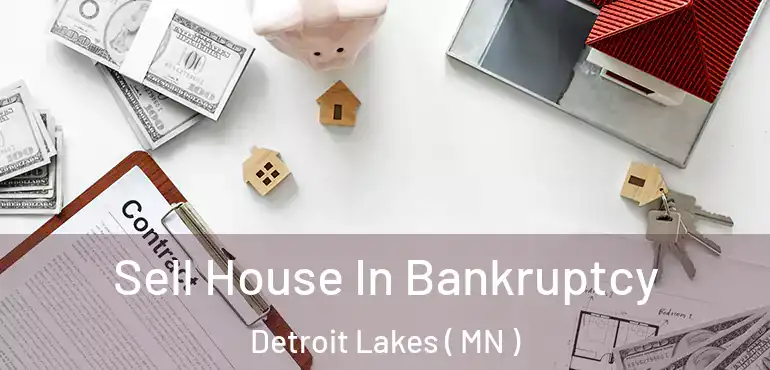  Sell House In Bankruptcy Detroit Lakes ( MN )