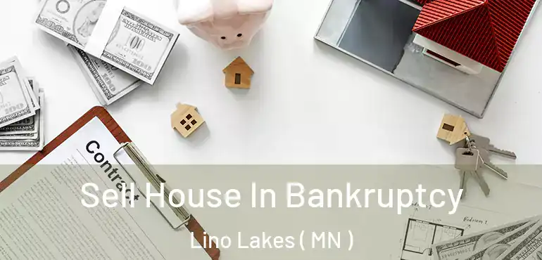 Sell House In Bankruptcy Lino Lakes ( MN )