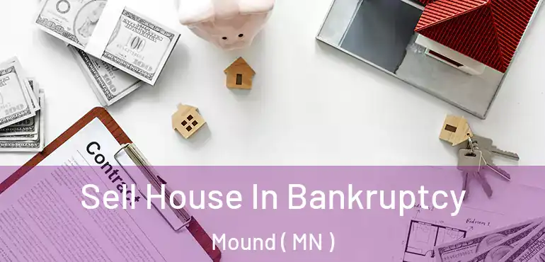  Sell House In Bankruptcy Mound ( MN )
