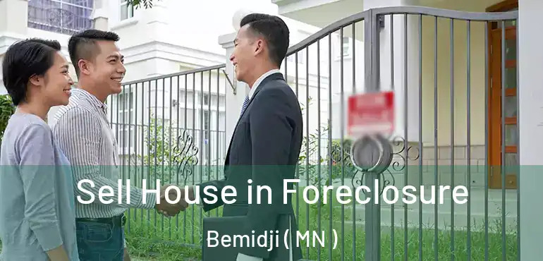  Sell House in Foreclosure Bemidji ( MN )