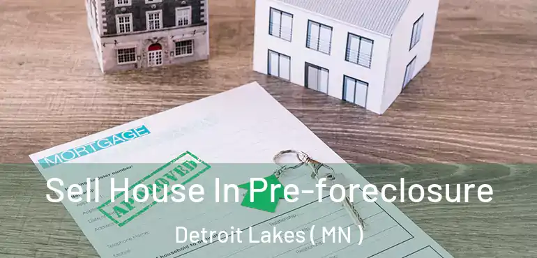  Sell House In Pre-foreclosure Detroit Lakes ( MN )