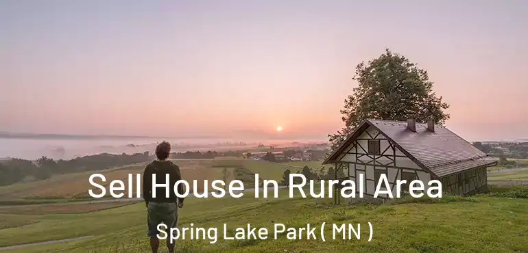  Sell House In Rural Area Spring Lake Park ( MN )