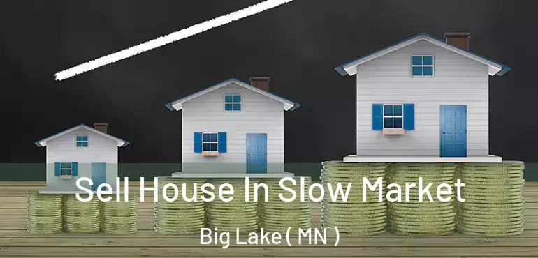  Sell House In Slow Market Big Lake ( MN )