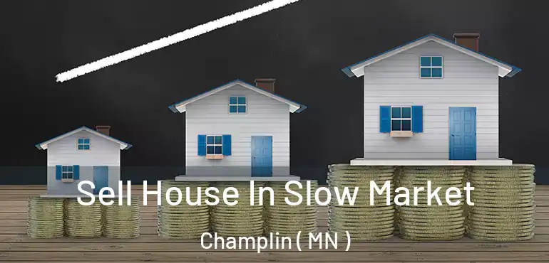  Sell House In Slow Market Champlin ( MN )