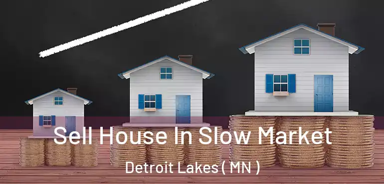  Sell House In Slow Market Detroit Lakes ( MN )