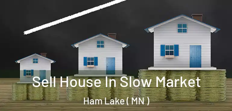  Sell House In Slow Market Ham Lake ( MN )