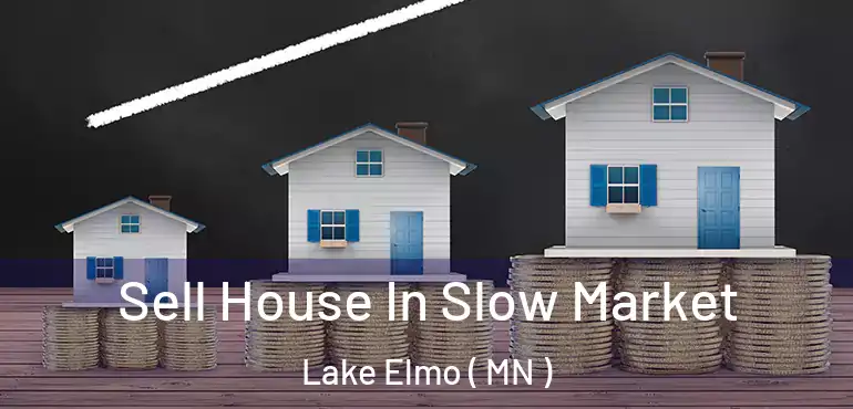 Sell House In Slow Market Lake Elmo ( MN )