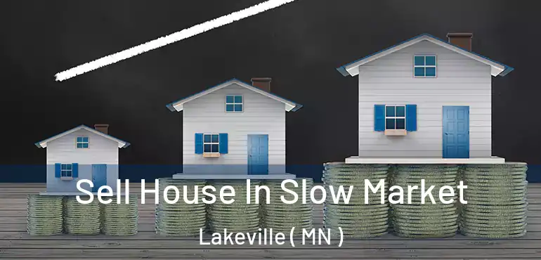  Sell House In Slow Market Lakeville ( MN )